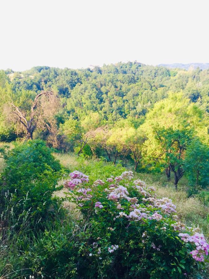 B&B Al Giardino Dei Mandorli Prasco Екстериор снимка