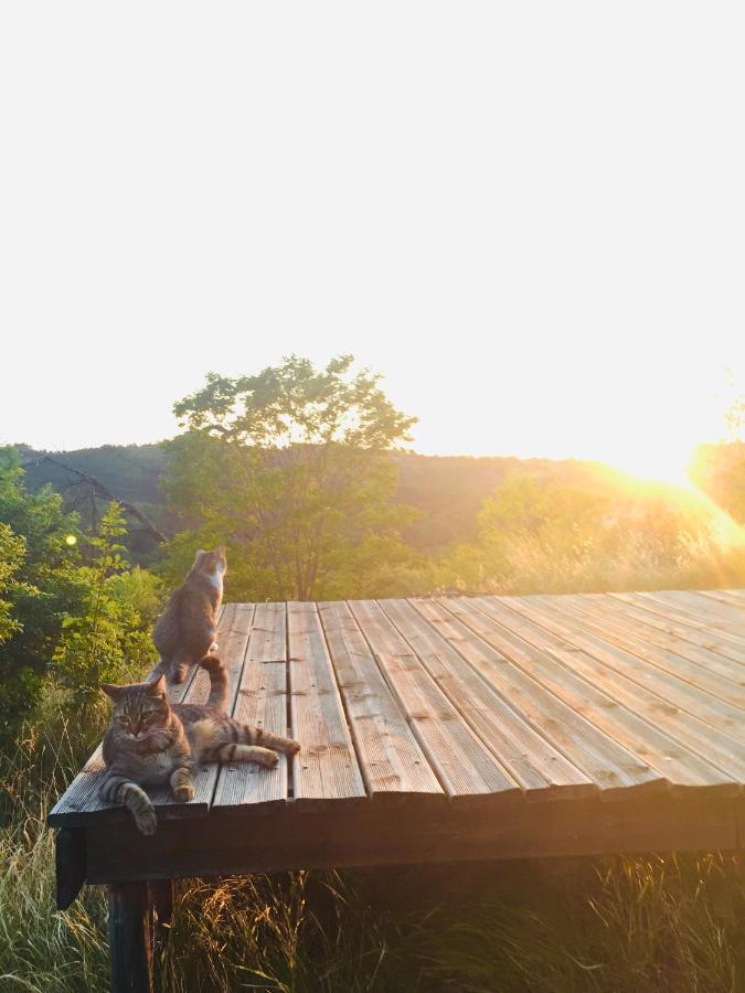 B&B Al Giardino Dei Mandorli Prasco Екстериор снимка