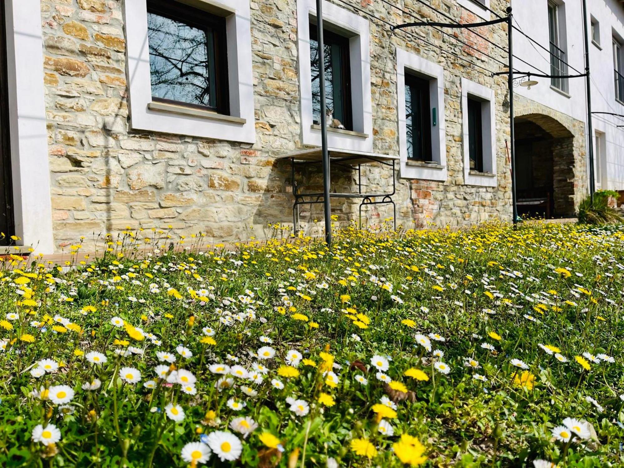 B&B Al Giardino Dei Mandorli Prasco Екстериор снимка