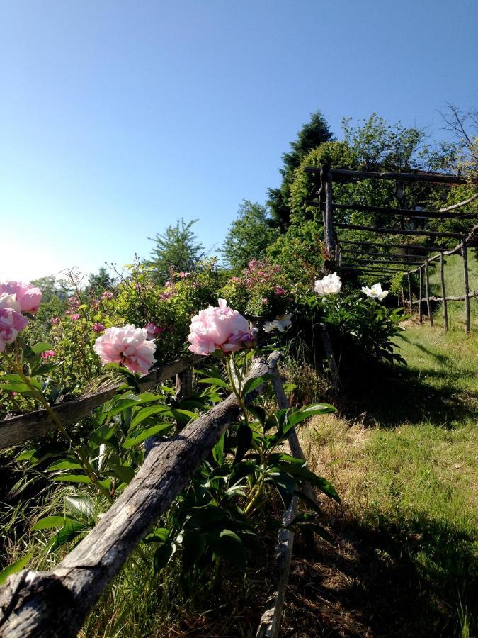 B&B Al Giardino Dei Mandorli Prasco Екстериор снимка